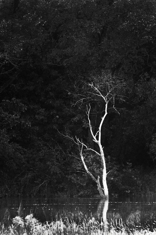 Разливphoto preview