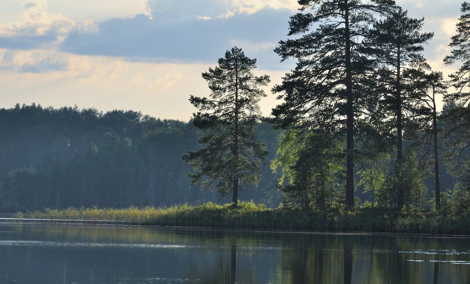 , Андрей Куликов