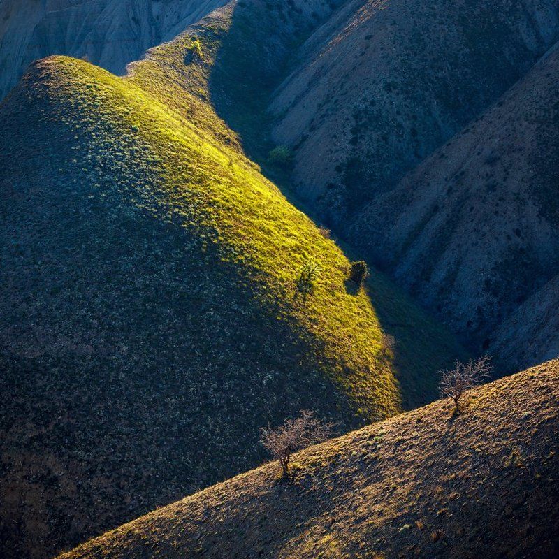 Оазисphoto preview