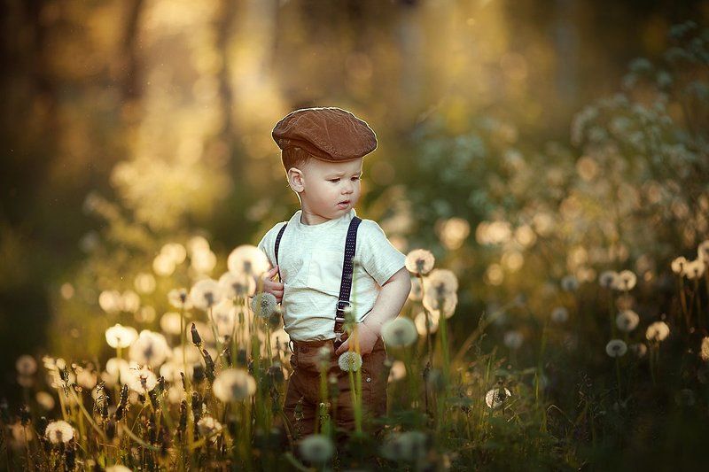 одуванчики лето мальчик одуванчикиphoto preview