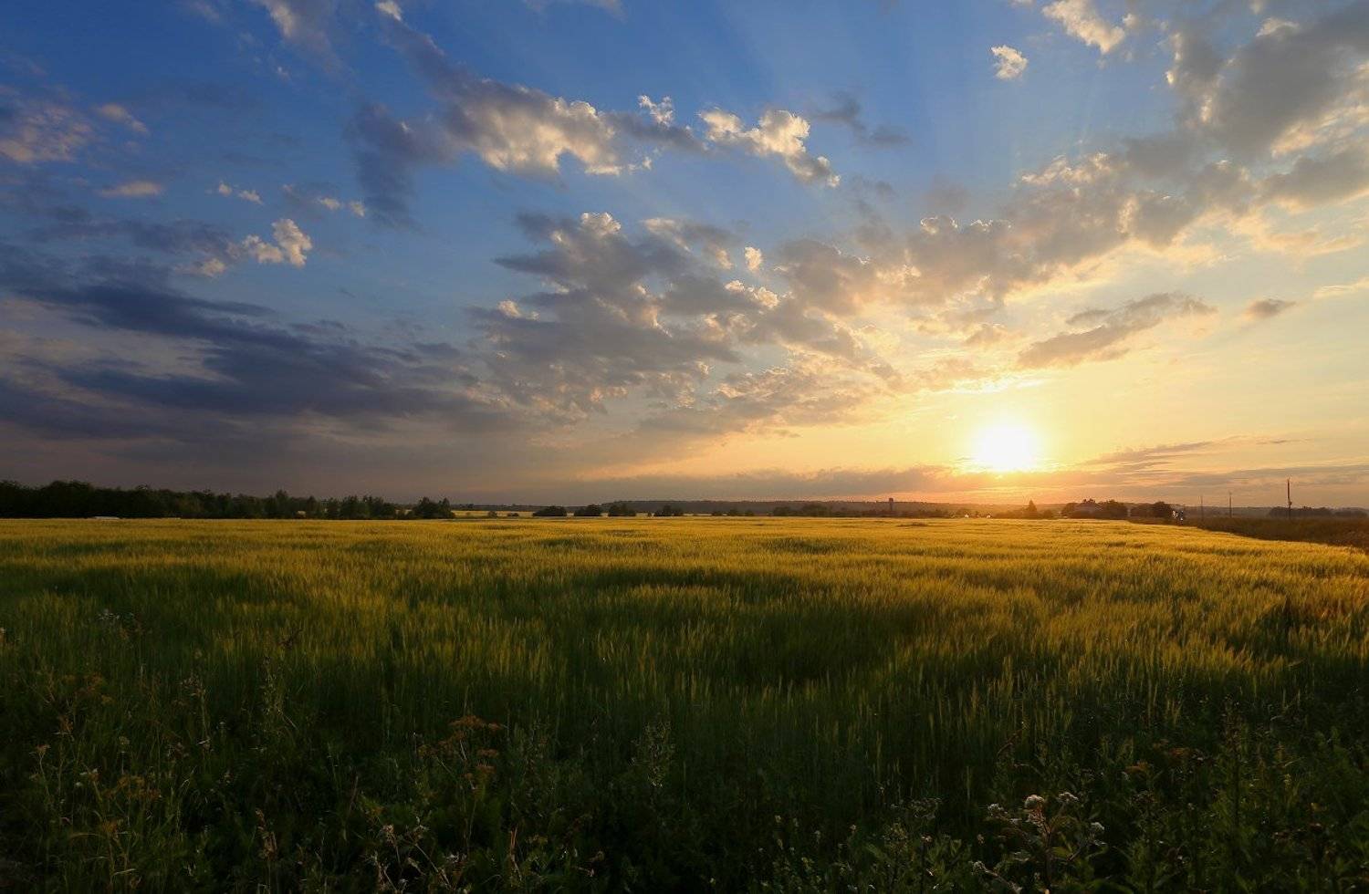 .... Автор: Александр Нагибин , Александр Нагибин