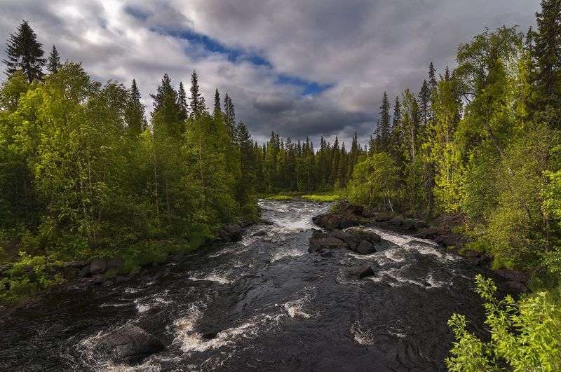 Кольский север Прогулка по лесуphoto preview