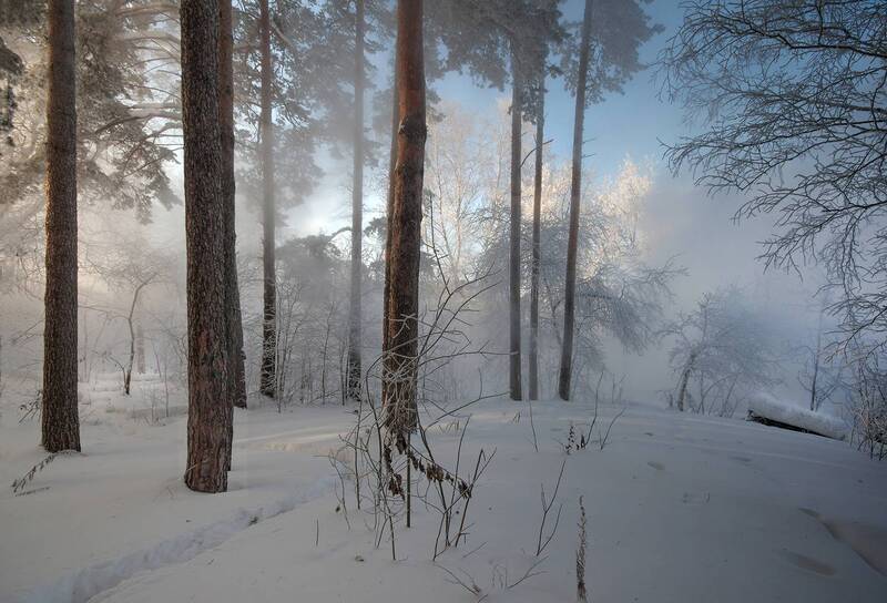 сибирь, зима, снег, свет, тени, туман, солнце Зимнее утроphoto preview