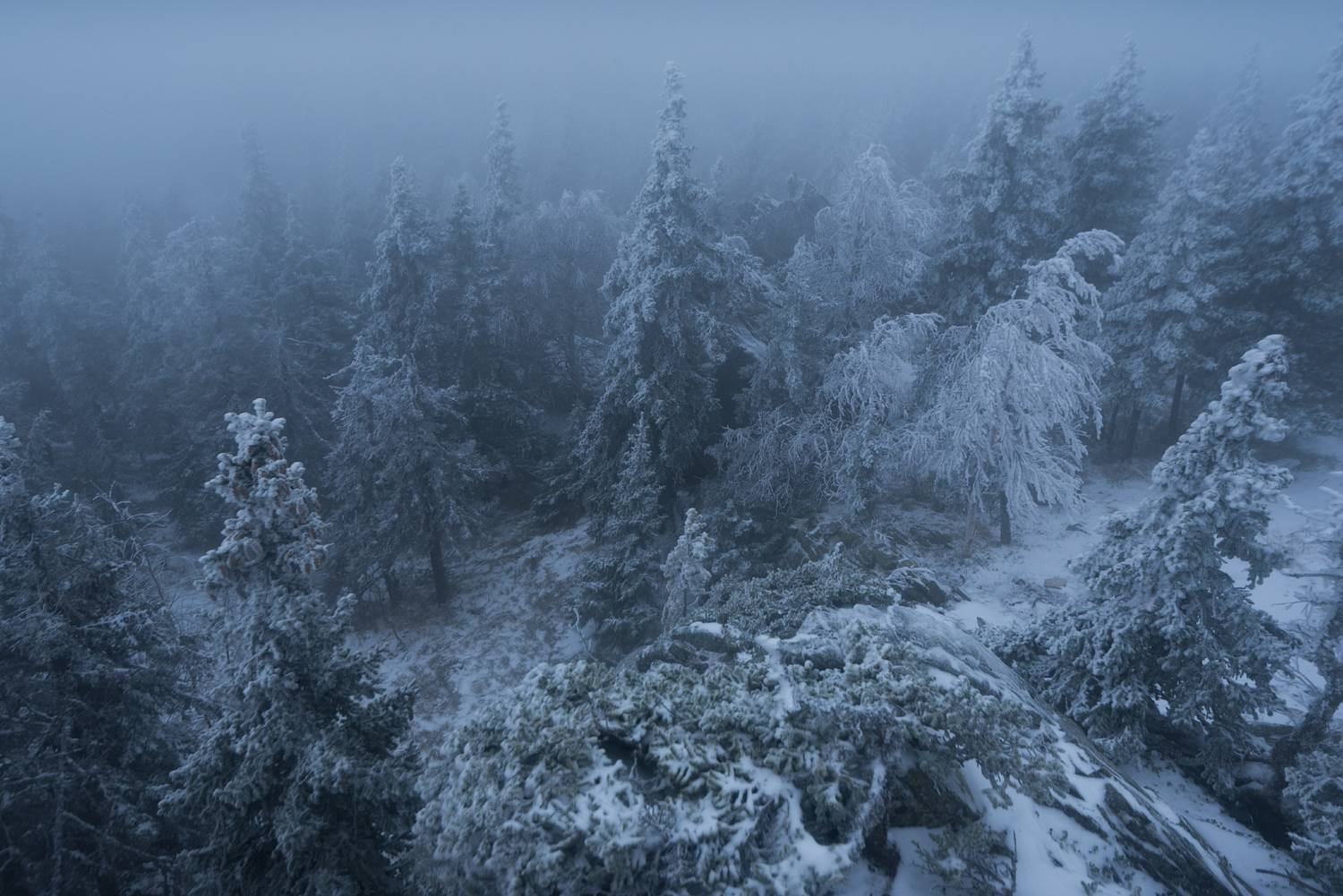 Сказочный Таганай заснежило уже в середине октября. Автор: Алексей Проняхин , Алексей Проняхин