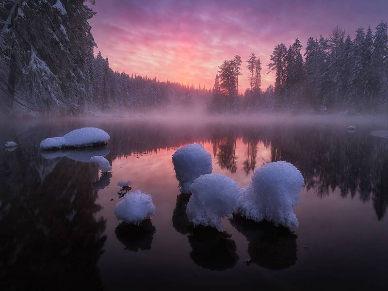 Обитатели озера Теплоеphoto preview