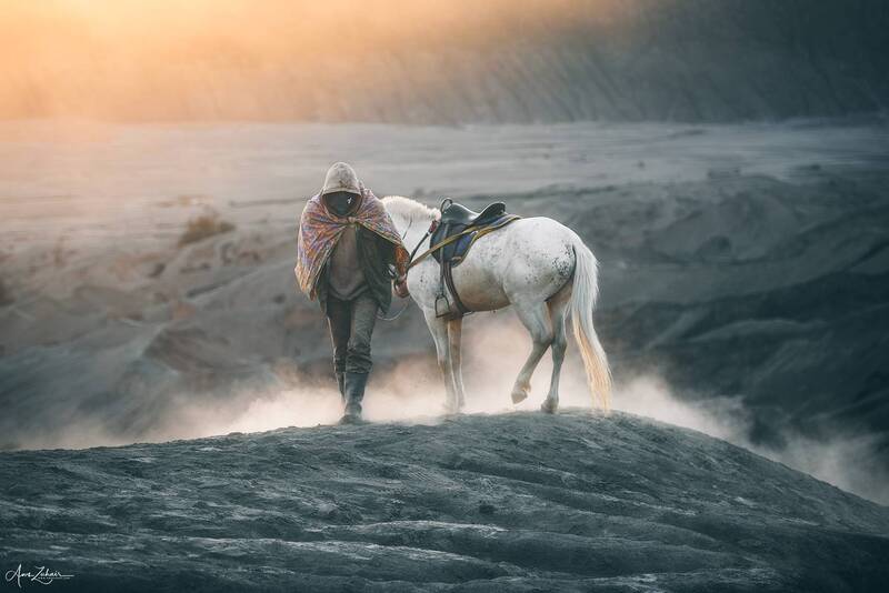 Horse Rider фото превью
