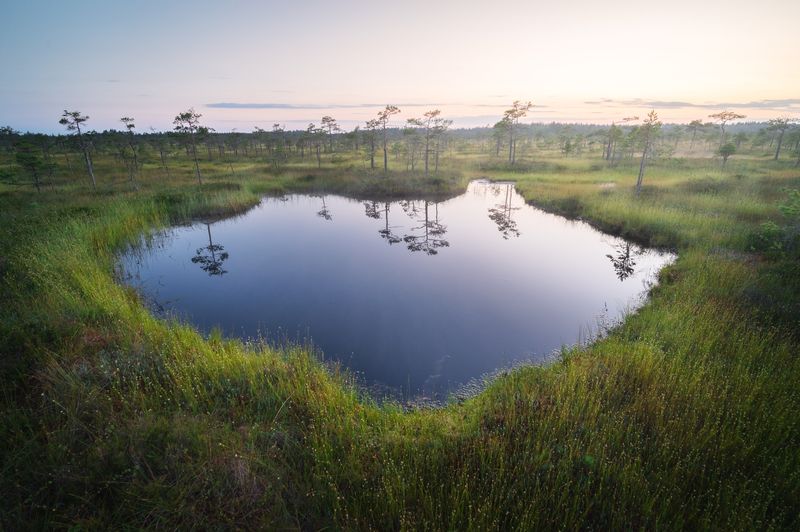 Порталphoto preview