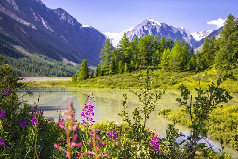 Алтай.Долина Актру.Кара_Ташphoto preview