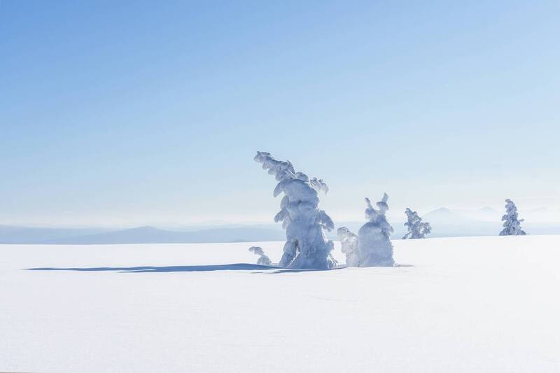 Белое солнце Аргыджекаphoto preview