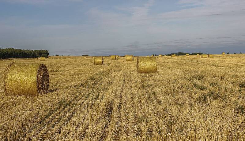 Полеphoto preview