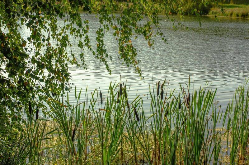 Озероphoto preview