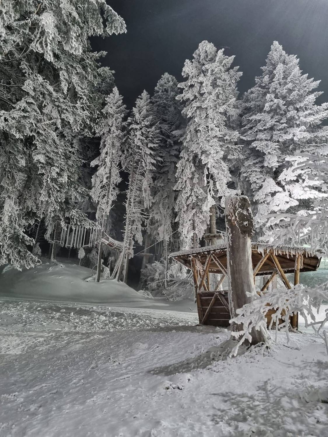 , Герчев Николай