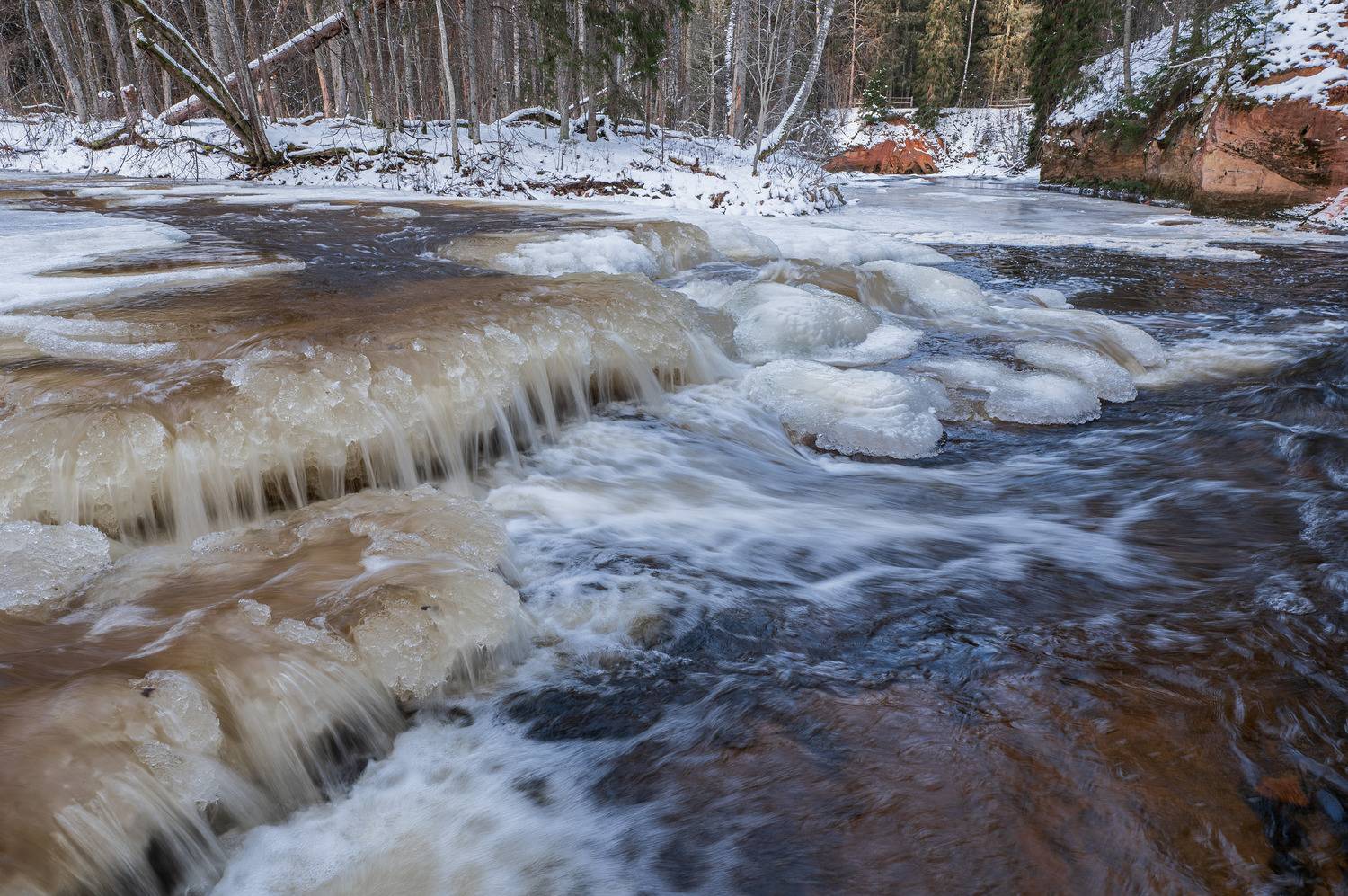 , Гордон Николай