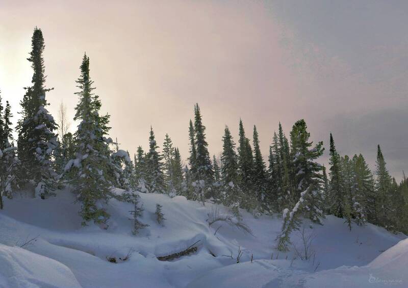 Зима сибирскаяphoto preview