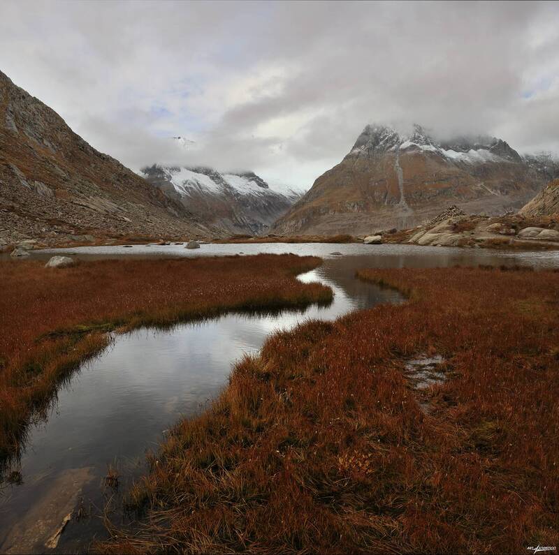 swiss Осень на болоте..photo preview