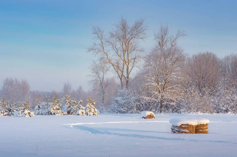январь утро мороз свет поле валки перелесок воронино Тихое зимнее утроphoto preview