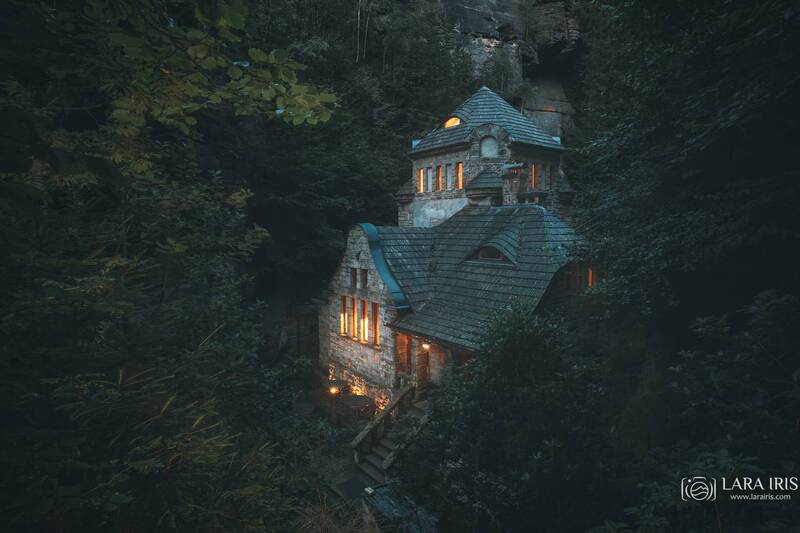 Под пологом лесаphoto preview