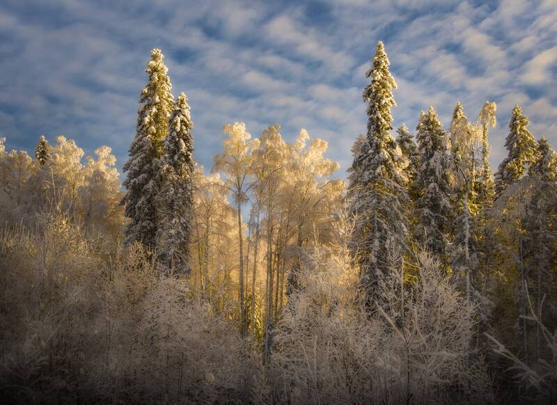 Внутренний свет сноваphoto preview
