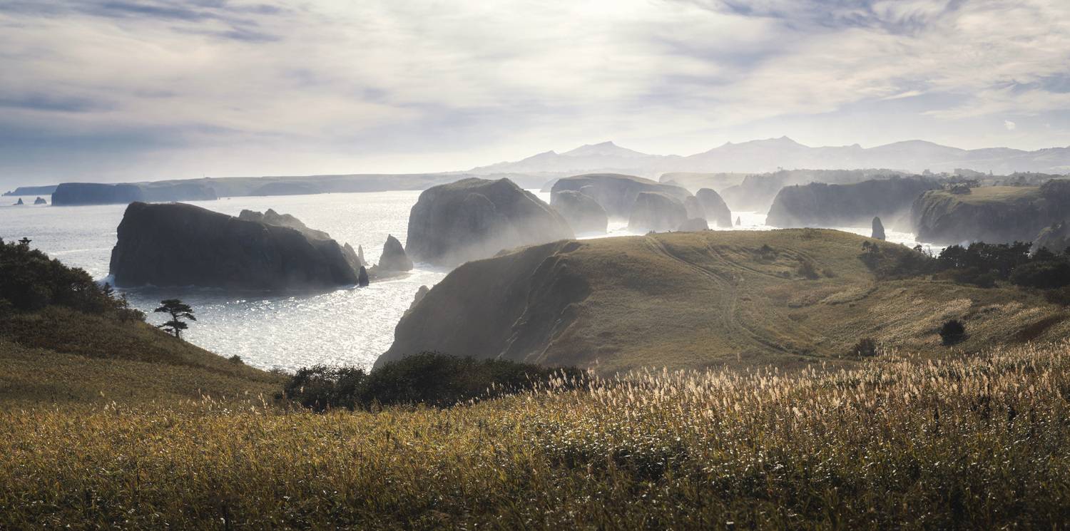 , Грамаков Юрий