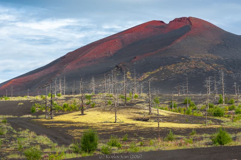 Мертвый лес. Шлаковый конус. Толбачикphoto preview
