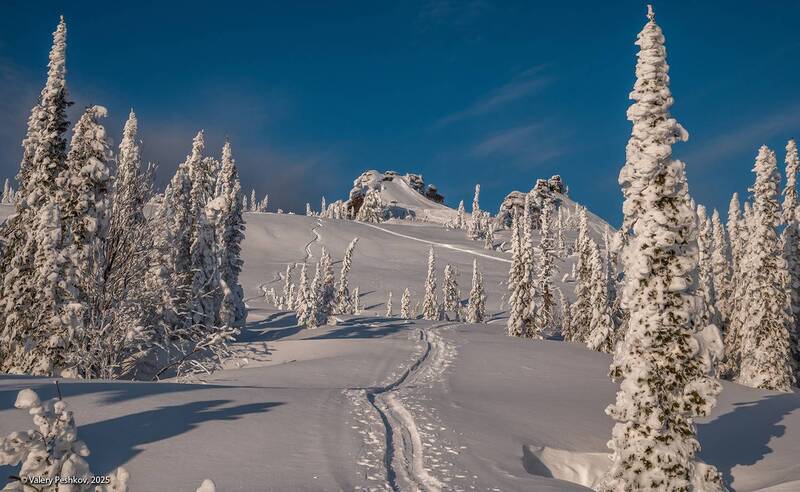Дорога к дому фото превью