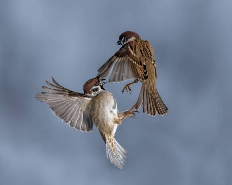 Не отпущуphoto preview