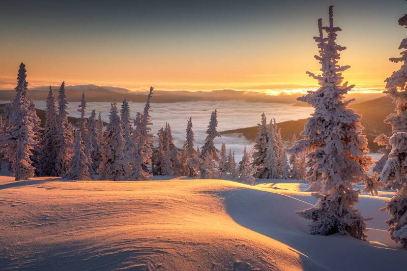 Золото Шории фото превью