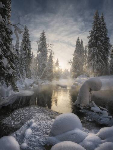 Купаясь в солнечных лучах