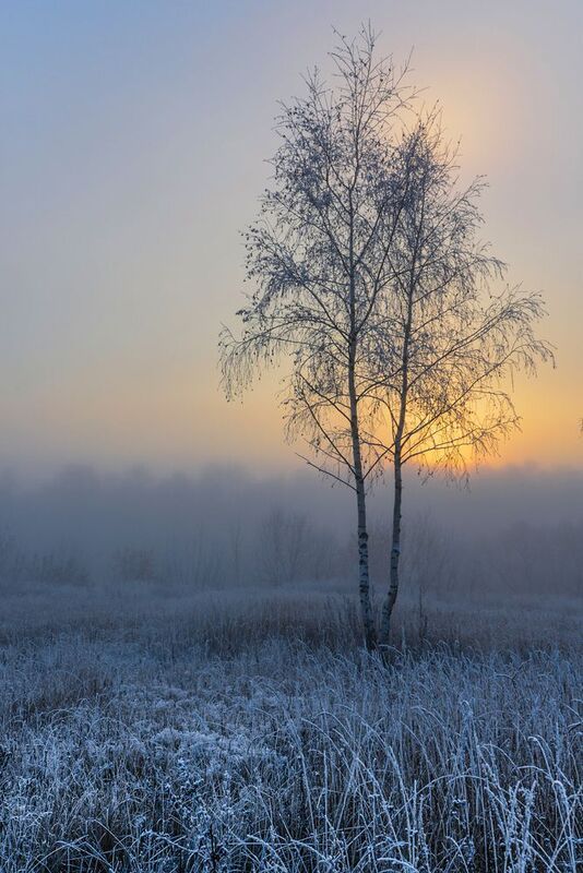 Утро туманное фото превью