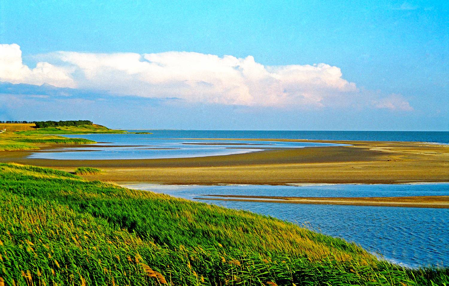 , Андрей Петросян