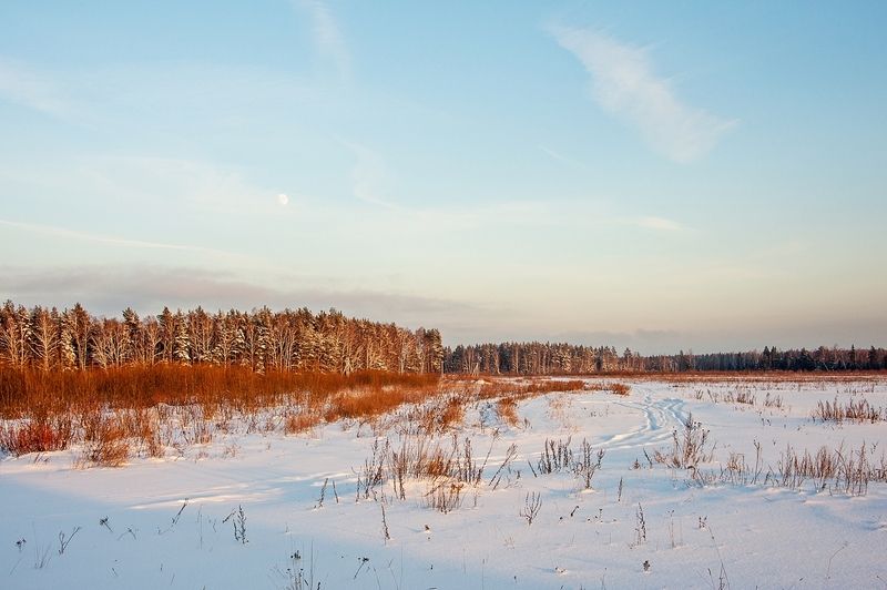Январский пейзаж фото превью