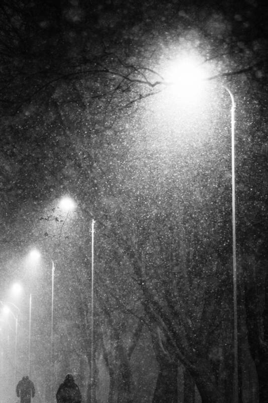 Снегопадphoto preview