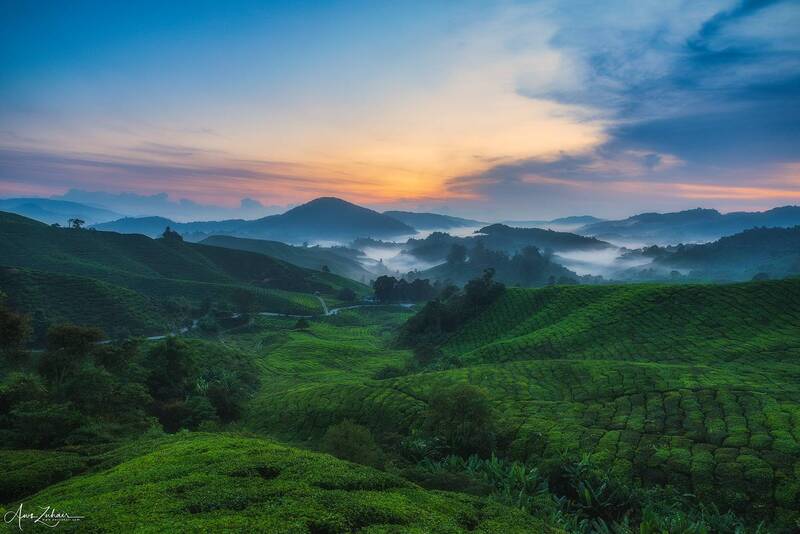 Cameron Highlands фото превью