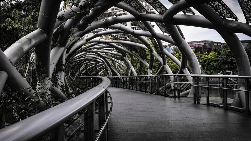 #Botany #Branch #Plant #Architecture #Wood #Black-and-white #Grass #Bridge #Tree #Tints and shades Walking Bridgephoto preview