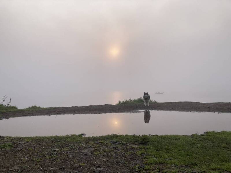 хабаровский край, бухта сизиман Рассвет фото превью
