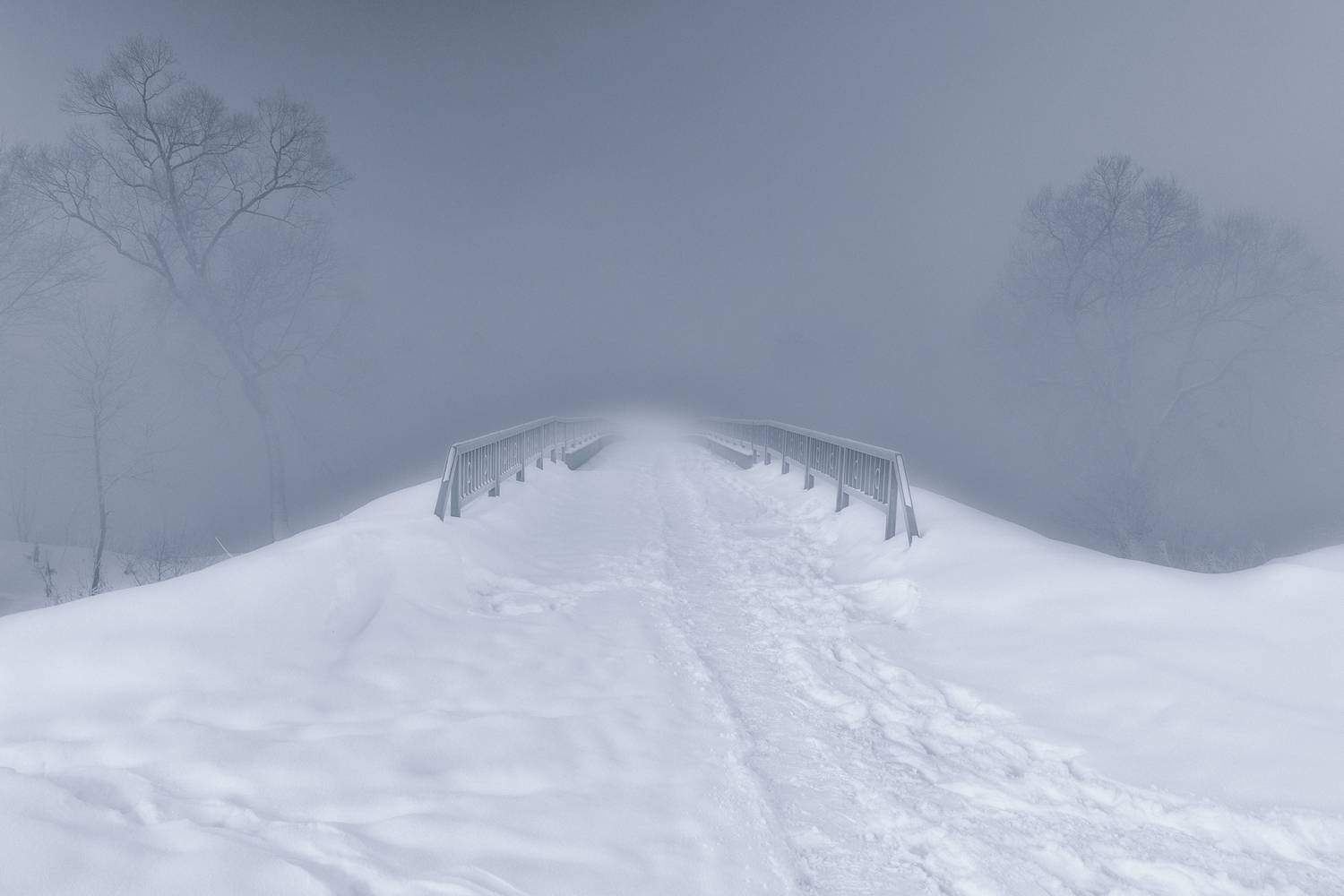 Истра, Гусева Елена