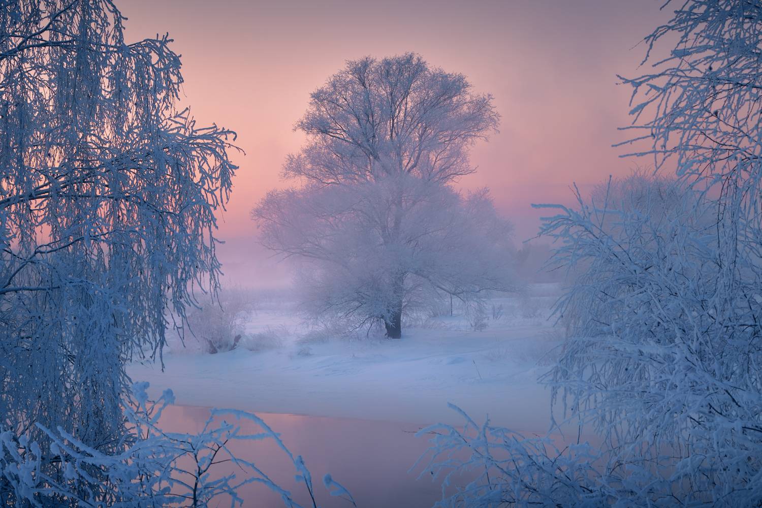 На "подмостках "январского вечера (Татьянин день).... Автор: Роман Лушпа , Роман Лушпа