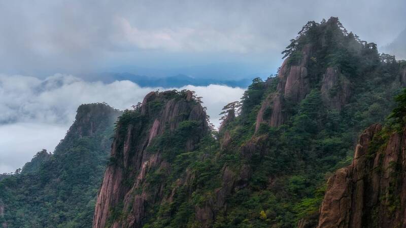 Сосны на скалахphoto preview