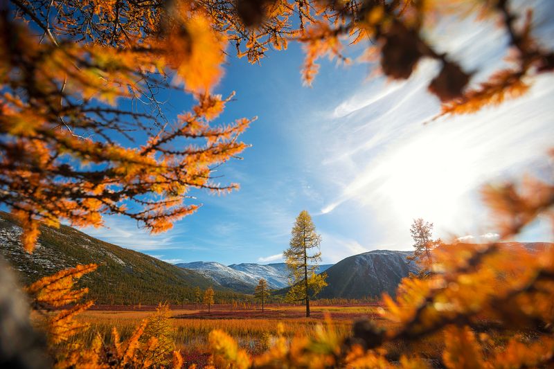 Колыма,горы, озеро Джека Лондона Золотые запасы Колымыphoto preview