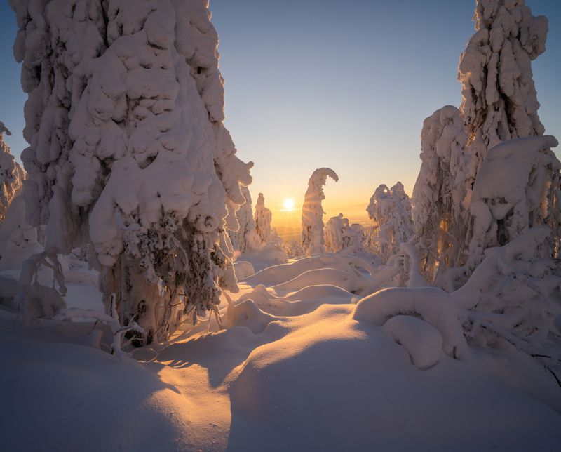 Пермские снежные великаныphoto preview