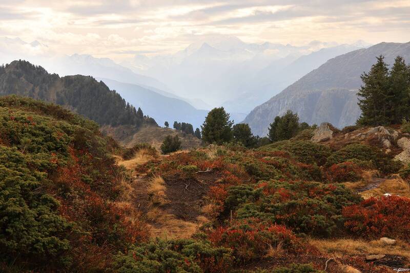 swiss Миражиphoto preview