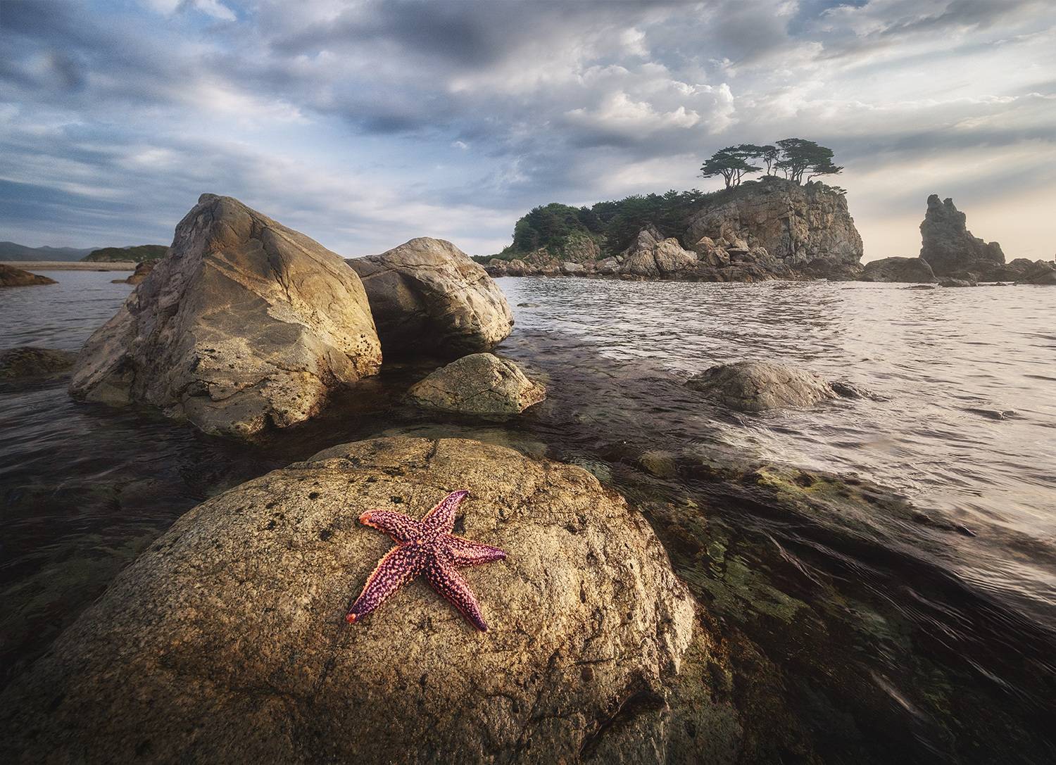 , Андрей Родионов