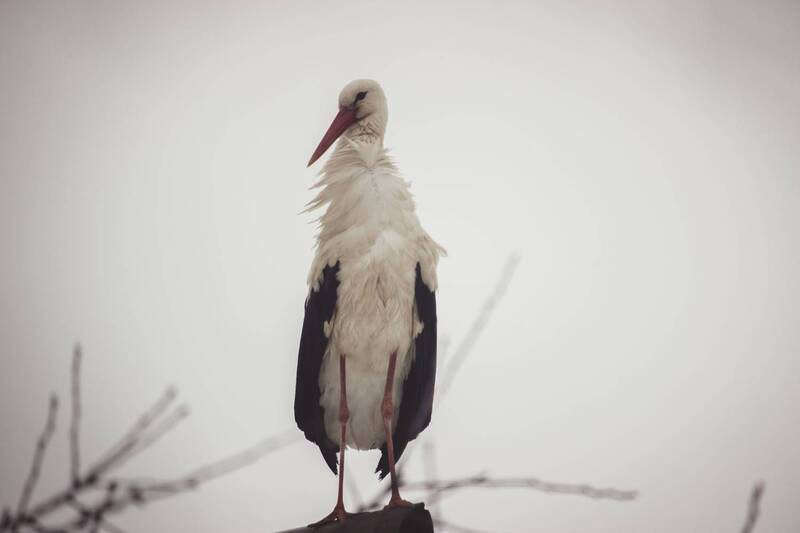 Природа. фото превью