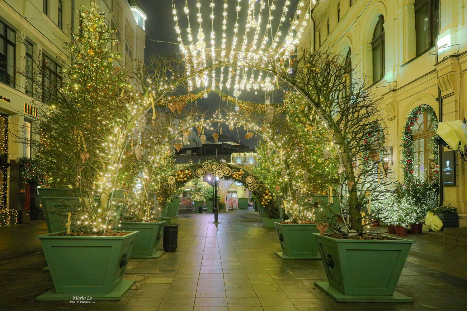 москва огнибольшогогорода зимняясказка сказкавгороде рождество проектзимавмоскве рождественскоенастроение снег рождественскиеогни новогодниеогни зимавгороде механикачудес сова ели механика ель совы паровоз плюшевыймедведь, Maria Lo