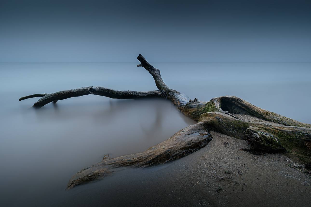 2025-03-31. Автор: Borislav Kostov , Borislav Kostov