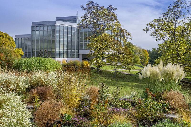 Botanischer Garten Thübingenphoto preview