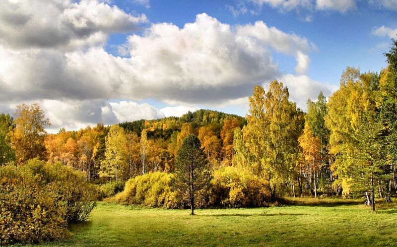 Осенний деньphoto preview