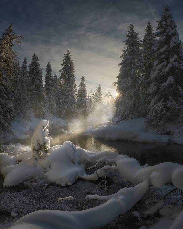 Артист на сценеphoto preview