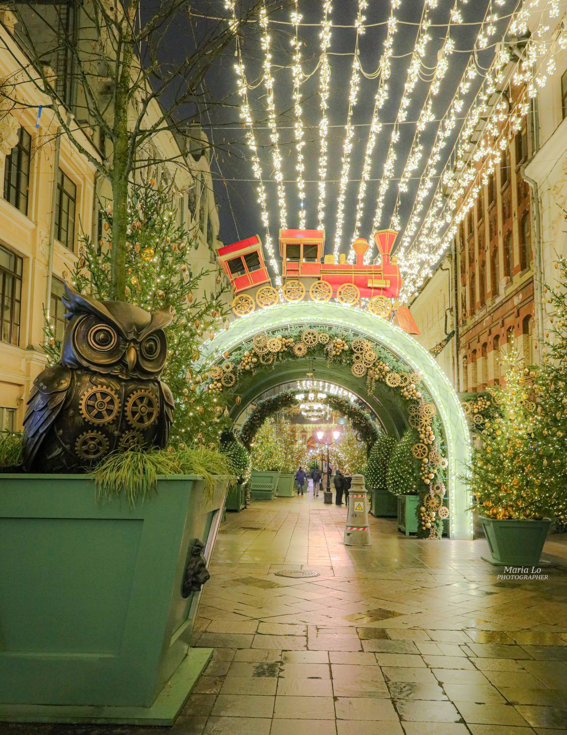 москва огнибольшогогорода зимняясказка сказкавгороде рождество проектзимавмоскве рождественскоенастроение снег рождественскиеогни новогодниеогни зимавгороде механикачудес сова ели механика ель совы паровоз плюшевыймедведь, Maria Lo