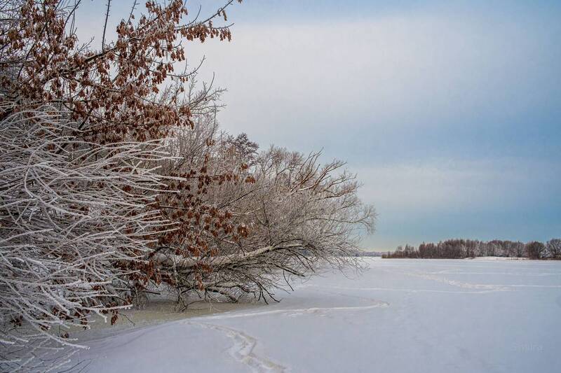 зима озеро лёд природа пейзаж Зимний пейзаж.photo preview